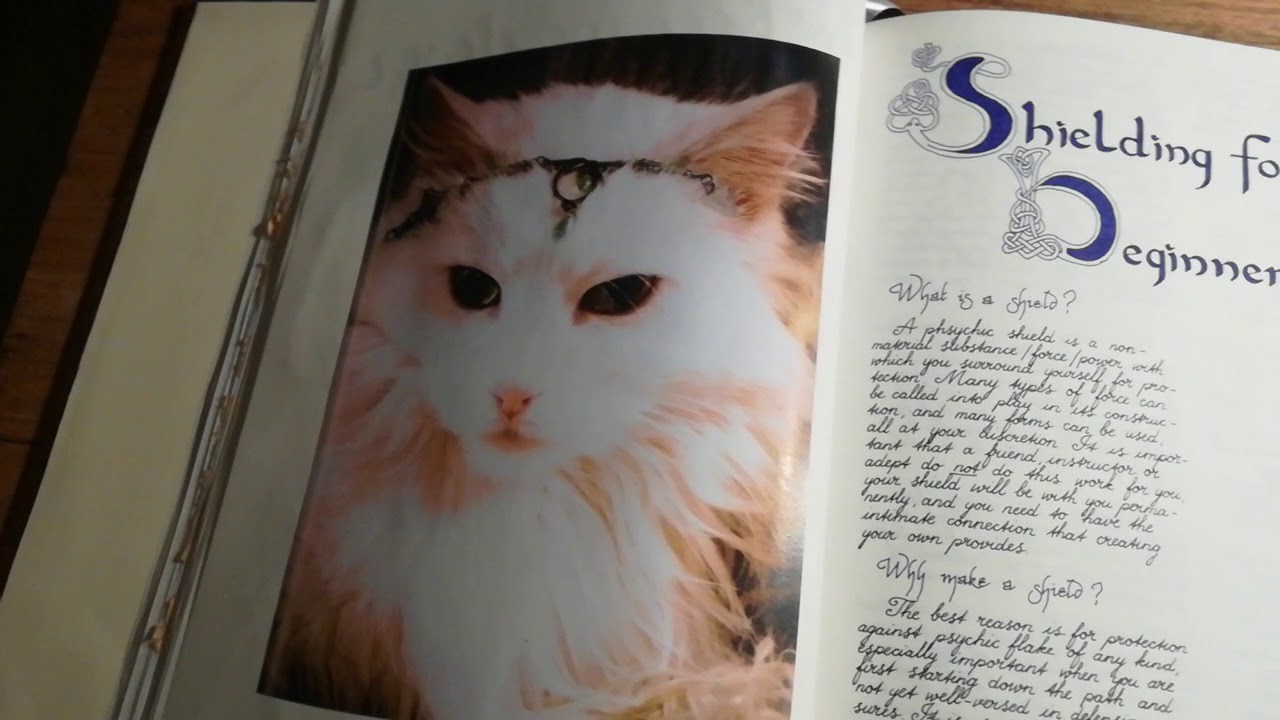 Book of Shadows flip through