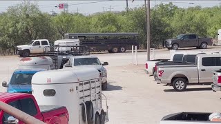 Abilene boy raised $500 for Abilene Zoo master plan