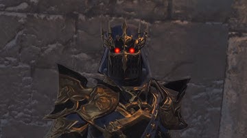 FFXIV - Meeting Fray