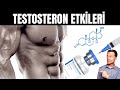 Testosteron almadan nce buyu zleyin   dr berg trke