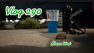 VLOG 290