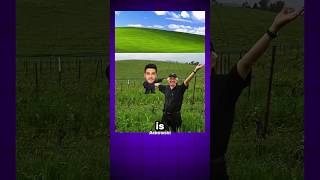 The Story Behind The Windows XP Wallpaper Profile