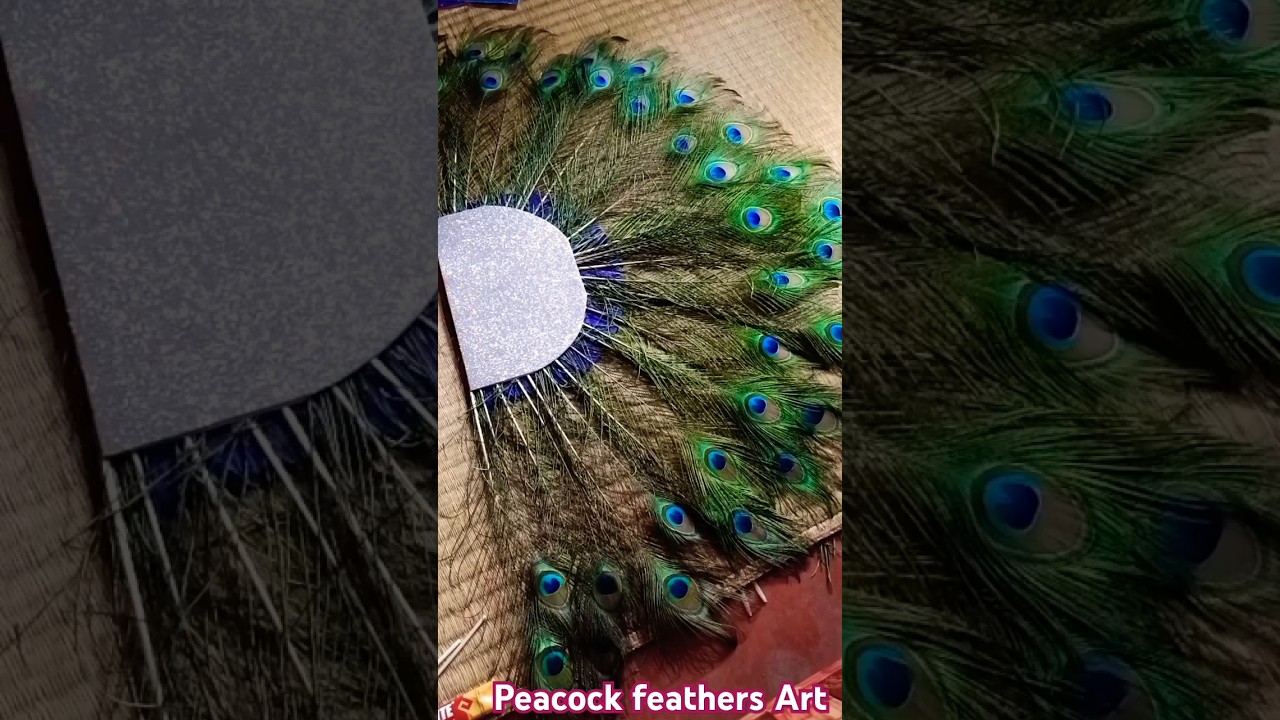 peacock feathers art 