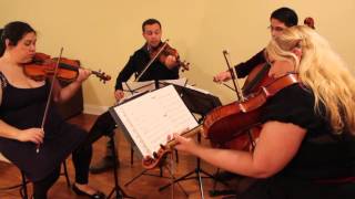 Suite from Ori and the Blind Forest (Videri String Quartet)