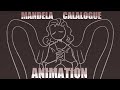 MANDELA CATALOGUE ANIMATION | Along came a spider