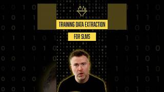 Why Training Data Extraction for SLMs matters