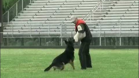 Cayos long attack 2009 AWDF