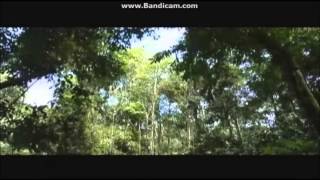 Tv9 Negaraku  malaysian National Anthem