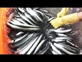 Eel feeding in Taiwan - Eel catch and grilled eel 鰻魚捕撈, 碳烤鰻魚