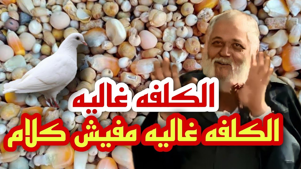 بعد غلاء كلفة الحمام |هاتخسر كتير لو معملتش كده