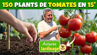 Tomates : Semez 150 plants en 15 min ! + Le guide du potager en Mars 🍅