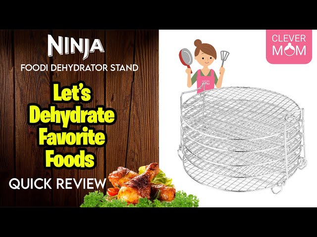 Ninja Foodi Dehydrator Stand