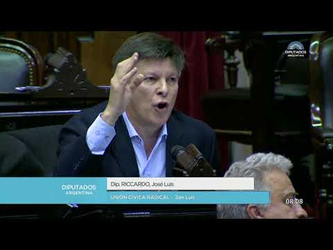 Diputado Riccardo José Luis - Sesión 13-06-2018 - PL