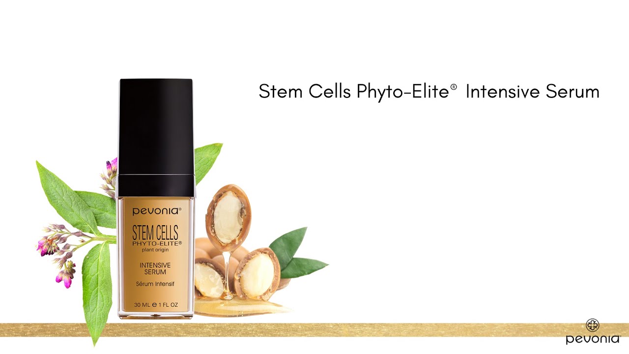 Stem Cells Phyto-Elite Intensive Serum | Pevonia US