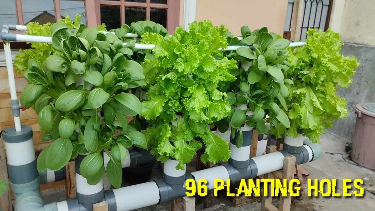How to build Vertical Hydroponic System (96 planting holes