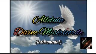 Alleluia Divine Miséricorde #LPI