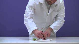 N is for North Experiment - Mad Science of West New Jersey