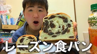 レーズン食パンが宝石箱で幸せすぎた【モッパン】Japanese bread #26