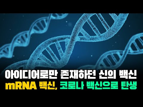 mRNA 백신이란 무엇인가?- part2 , 화이자, 모더나, 아스트라제네카, 얀센 등등 "mRNA 백신을 가능케 하는 놀라운 LNP 기술"