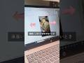 【PowerPoint便利術】縦長の画像を横幅にぴったり合わせる方法 #powerpoint #便利術