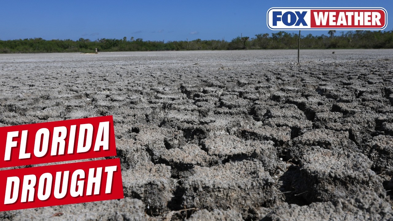 Rain forecast for Florida as drought conditions worsen - YouTube