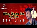 Chế Linh | Mùa Xuân Đó Có Em (Anh Việt Thu)