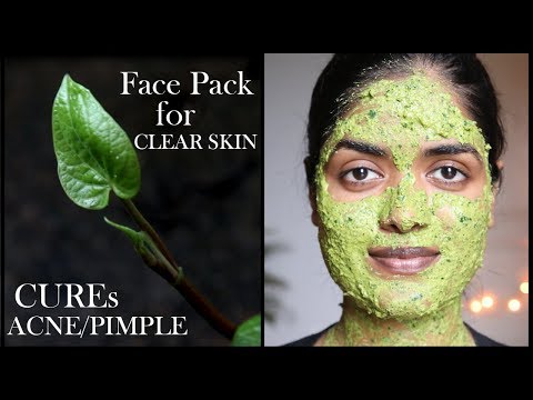 Clear Skin Face Pack || Cures Acne/Pimple || #dayswithsowbii Day