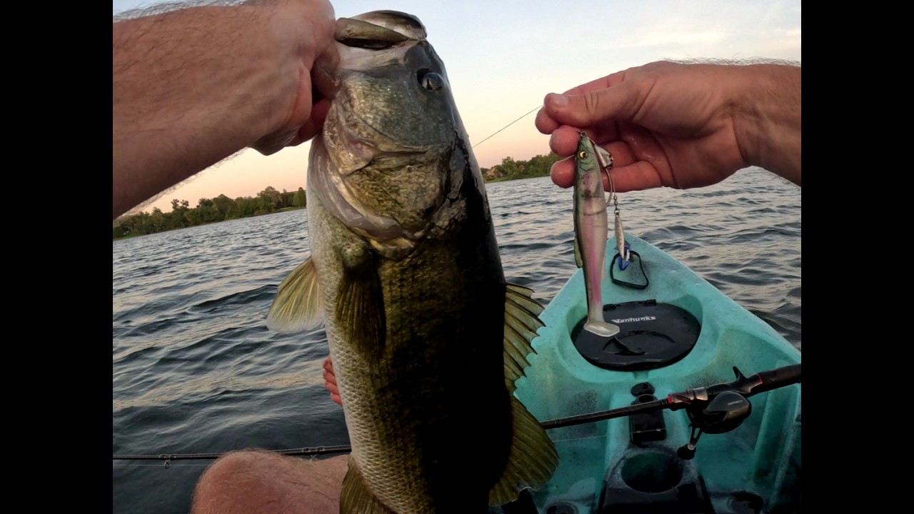 The two greatest weedless swimbaits for summertime bass fishing.