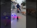 Professional police #funny #cat #sora