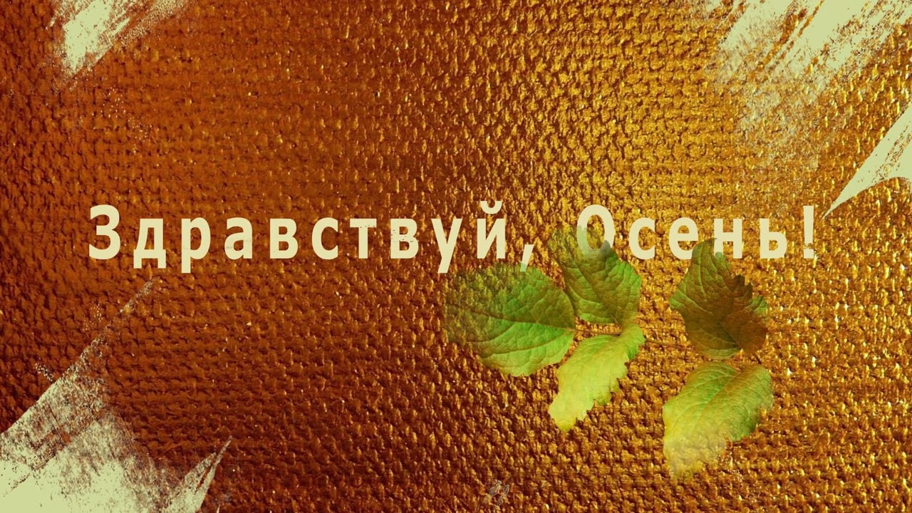 маска матте тренировочное видео After Effects