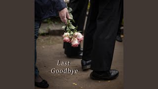 last goodbye