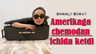 Shahlo Bravo - Amerikaga Chemodan Ichida Ketdi | Шахло Браво - Америкага Чемодан Ичида Кетди
