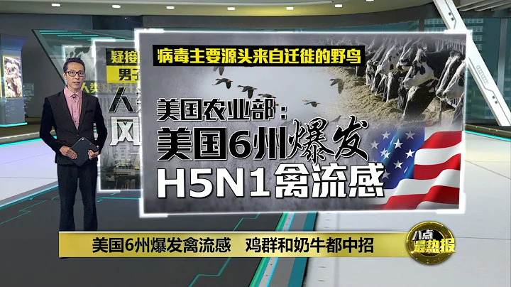 美國因禽流感撲殺近200萬隻雞  奶牛也中招 | 八點最熱報 05/04/2024 - 天天要聞