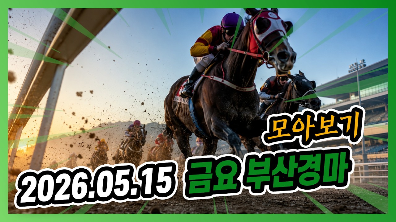 2026년 5월 15일 금요 부산경마 전체경주 모아보기