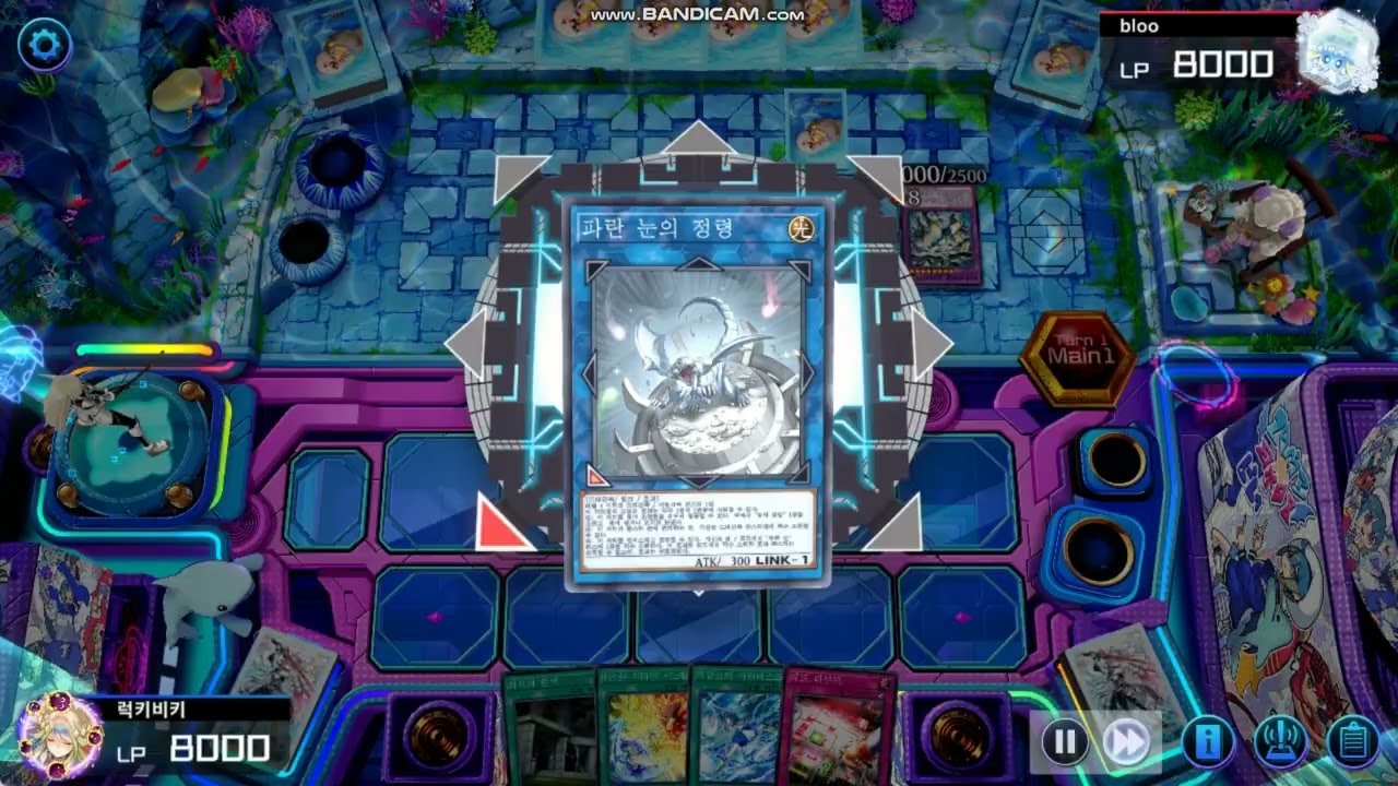 2026 미캉코 vs 드래곤테일