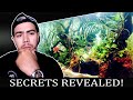 How To Aquascape : What beginners didn't know about