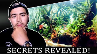 How To Aquascape : What beginners didn't know about