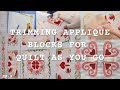 TRIMMING APPLIQUE BLOCKS FOR QUILT AS YOU GO: The Quilt-as-you-go Chronicles Ep 9