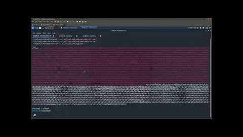 25-SEH Buffer Overflow Case Study #2