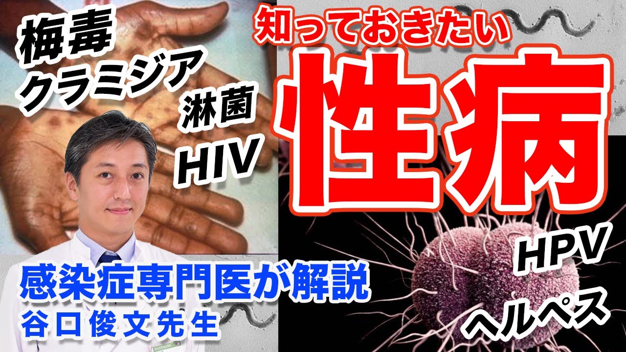 性病の症状や検査について 梅毒 クラミジア 淋菌 HIV ヘルペス HPV【感染症専門医が分かりやすく解説】