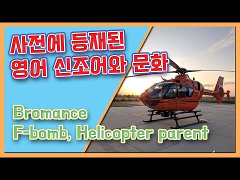   영어 단어 영어 신조어가 사전에까지 문화로 알아보는 영어 Bromance F Bomb Helicopter Parent Facepalm Staycation