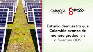 ¿Cómo se encuentra el desarrollo sostenible en cada municipio de Colombia? | Caracol Sostenible