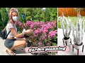 GARDEN PLANNING + ASKING A QUESTION IVE AVOIDED | leighannvlogs
