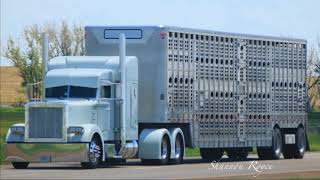 BULL HAULER LEFT LANE ©