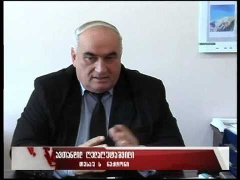 თესაუს რექტორის მრჩევლად რექტორობის ყოფილი კანდიდატი დაინიშნა