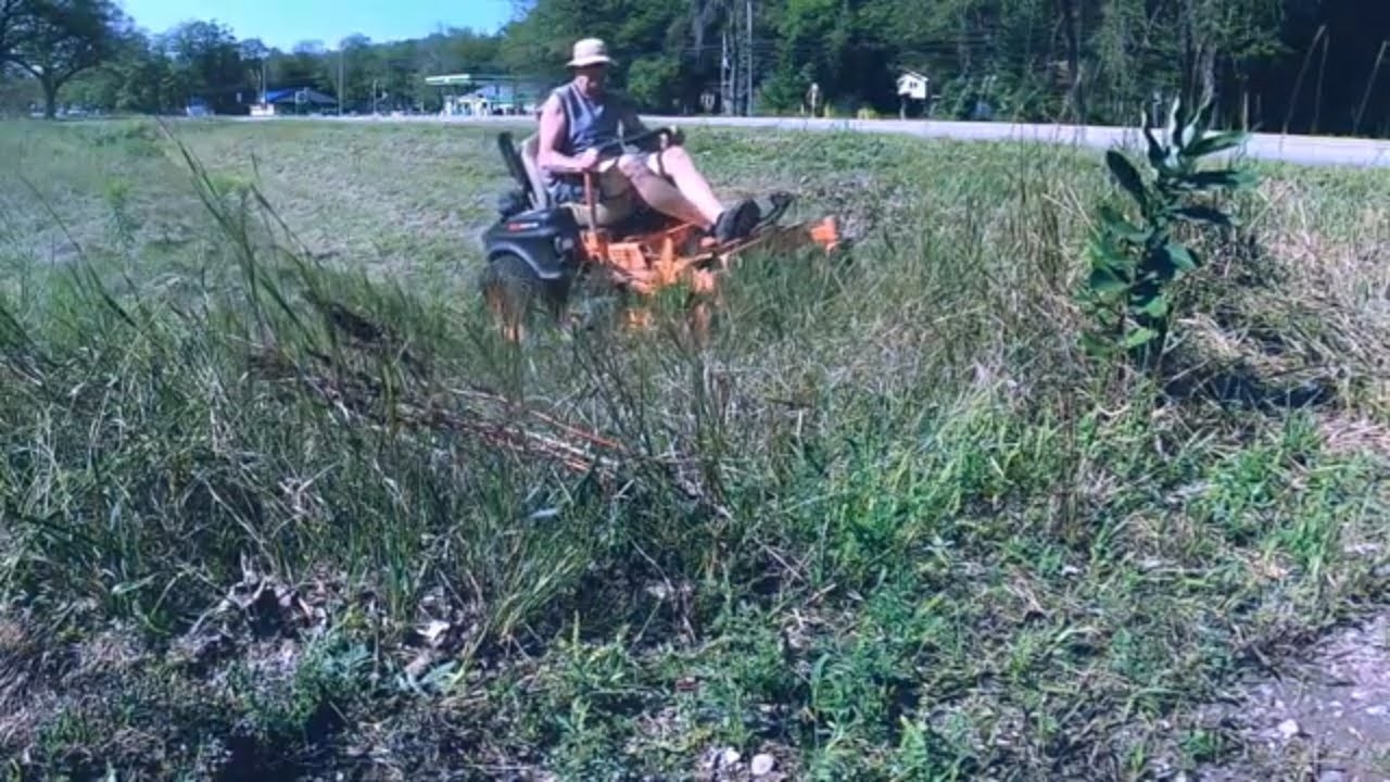 Free Overgrown Yard Cleanup For A Friend YouTube free-overgrown-yard-cleanup-for-a-friend-youtube