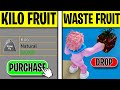 19 Mistakes You NEED to Avoid Making in Blox Fruits (Roblox Blox Fruits)