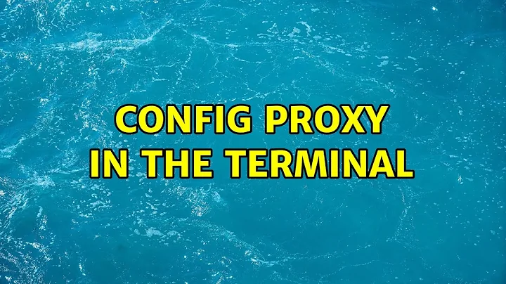 Config proxy in the terminal