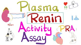 Renin-Angiotensin-Aldosterone System (RAAS) & Plasma Renin Activity Assay - Labs