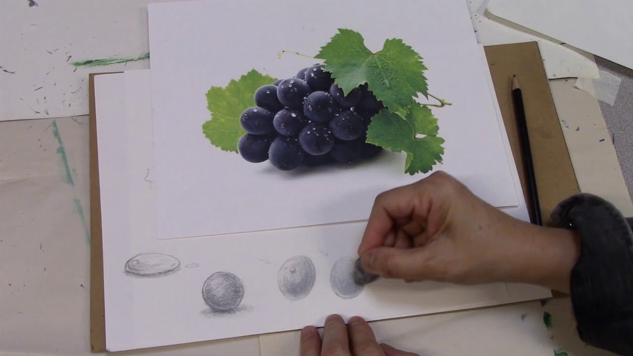 Drawing GrapesPencil and Oil Pastel 葡萄 YouTube